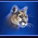 buffalo blitz symbol 2 1